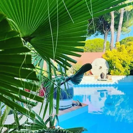 Insolite Grau Du Roi Mas Des Marines Piscine Apartment Le Grau-du-Roi