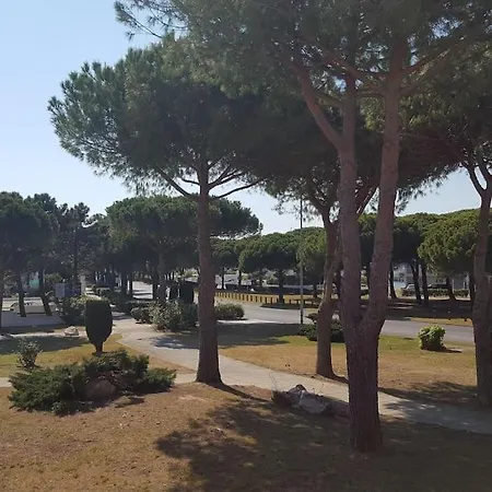 Insolite Grau Du Roi Mas Des Marines Piscine * Le Grau-du-Roi
