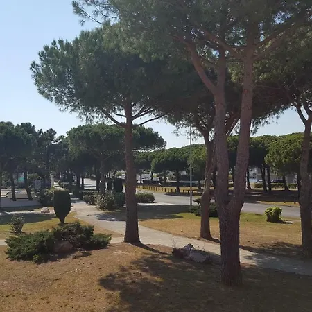 Insolite Grau Du Roi Mas Des Marines Piscine Le Grau-du-Roi
